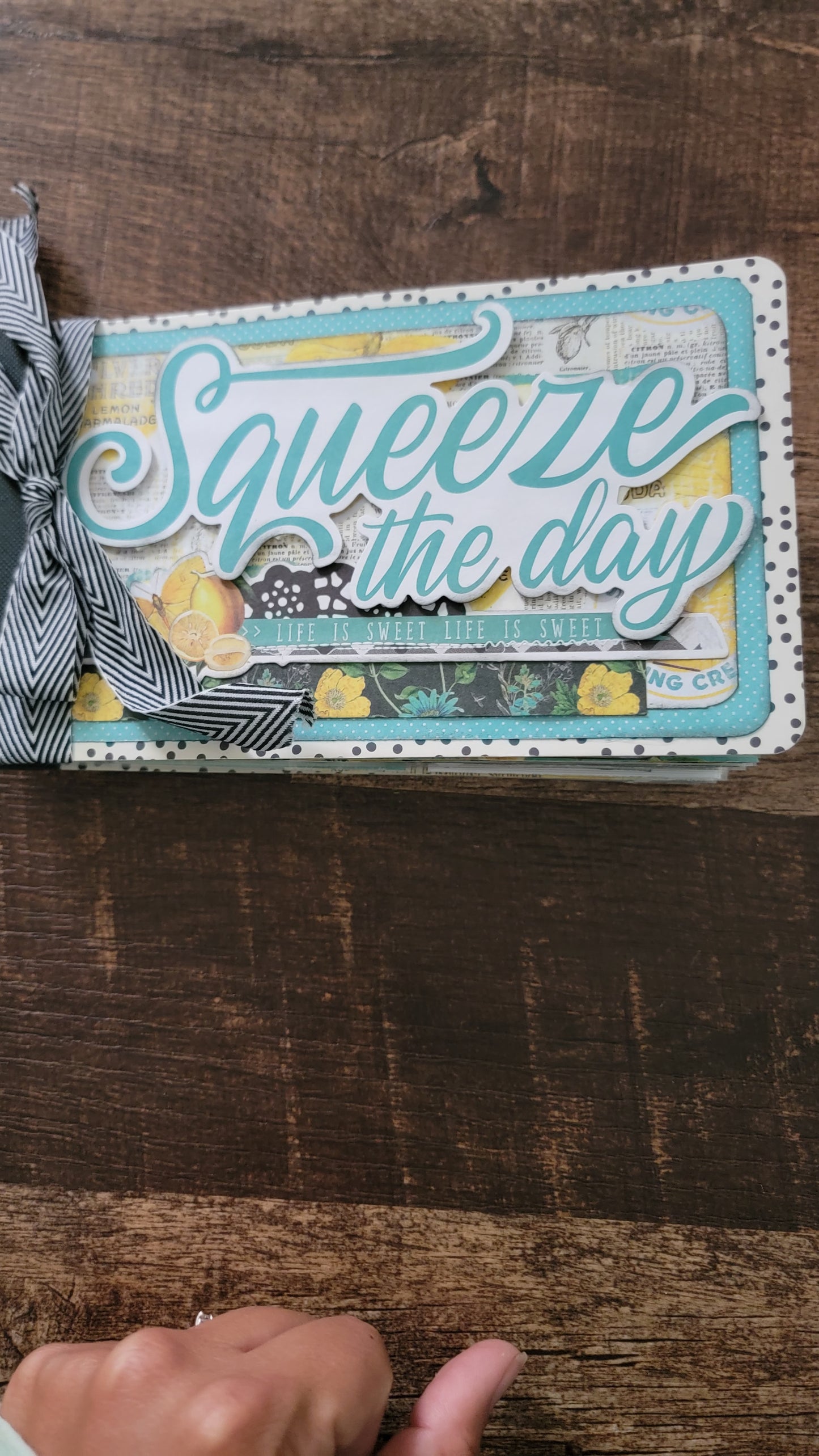 Squeeze The Day assembled flip book