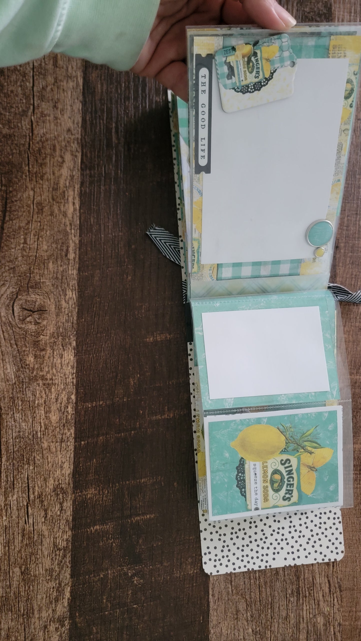 Squeeze The Day assembled flip book