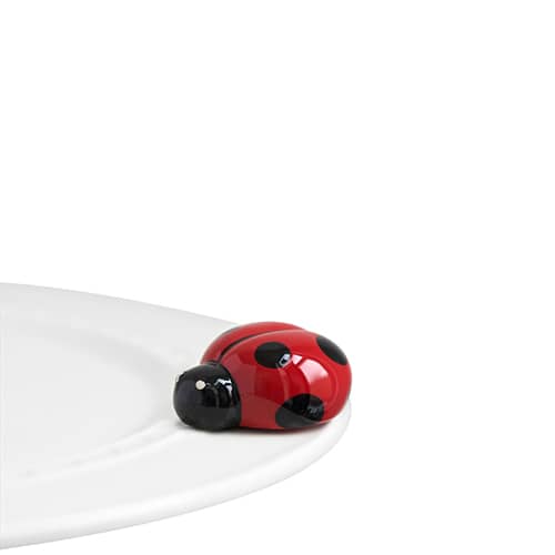 lil' ladybug