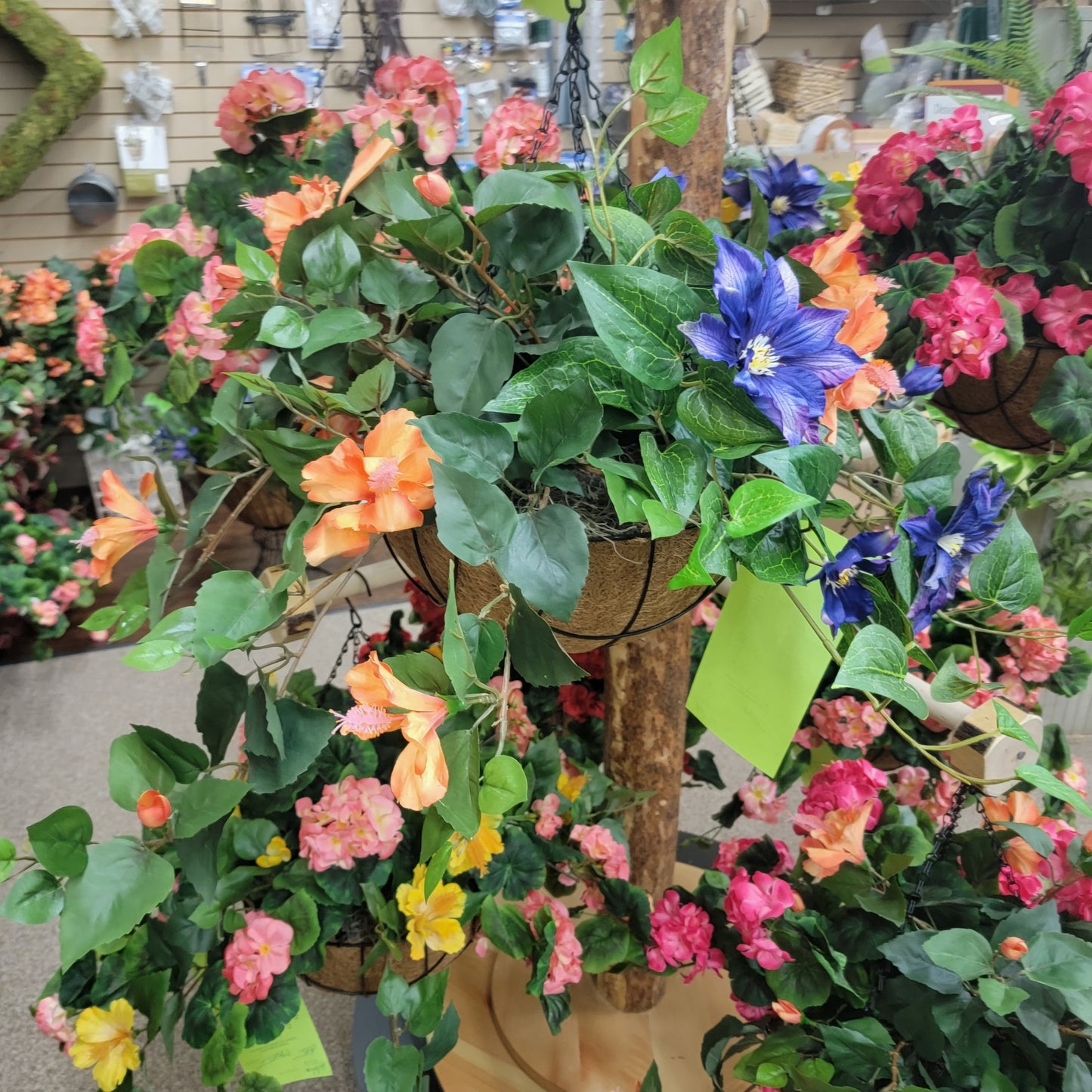 Clematis and Hibiscus Hanging Basket preorder instore pick up