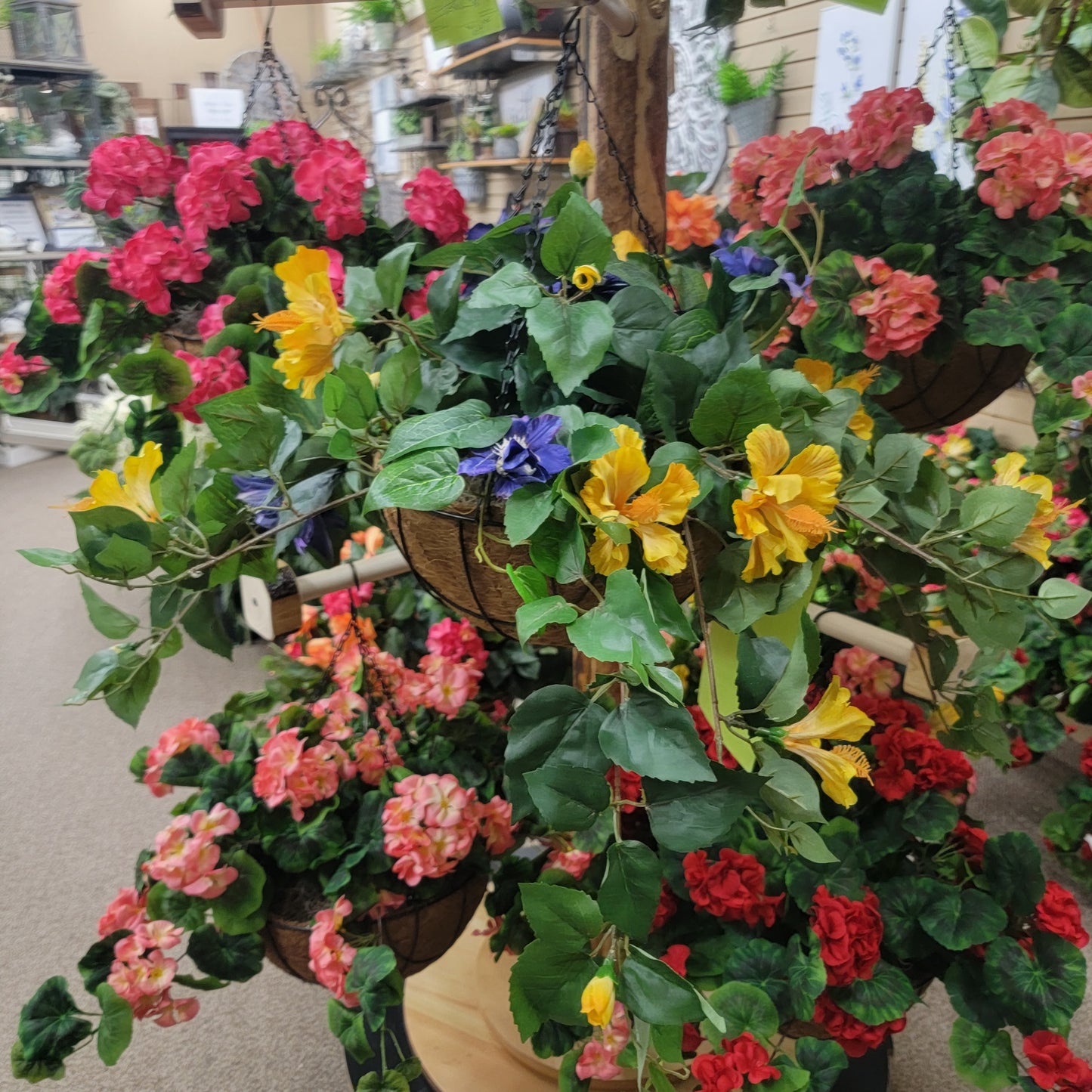 Clematis and Hibiscus Hanging Basket preorder instore pick up